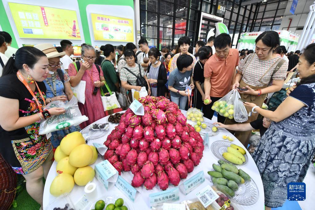 白菜全网讯